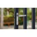 3 Locinox FIFTY inframe Swing Gate Lock 30 MM BACKSET FOR 50 MM - Kit with Recess Keep.webp