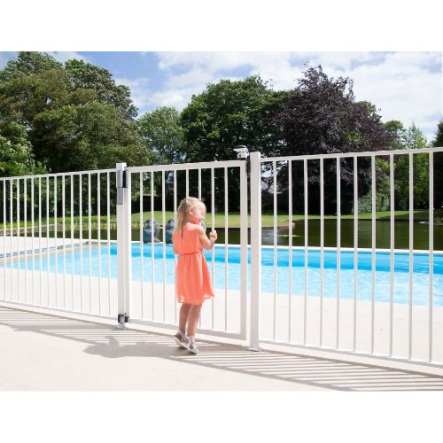 1Locinox Tiger Hydraulic Swing Gate Closer and Compact hinge all in One - SILVER.webp