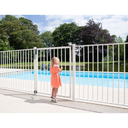 1Locinox Tiger Hydraulic Swing Gate Closer and Compact hinge all in One - SILVER.webp